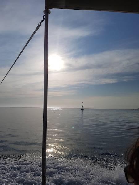 Bonne table Bassin d'Arcachon Bonne table Bassin d'Arcachon