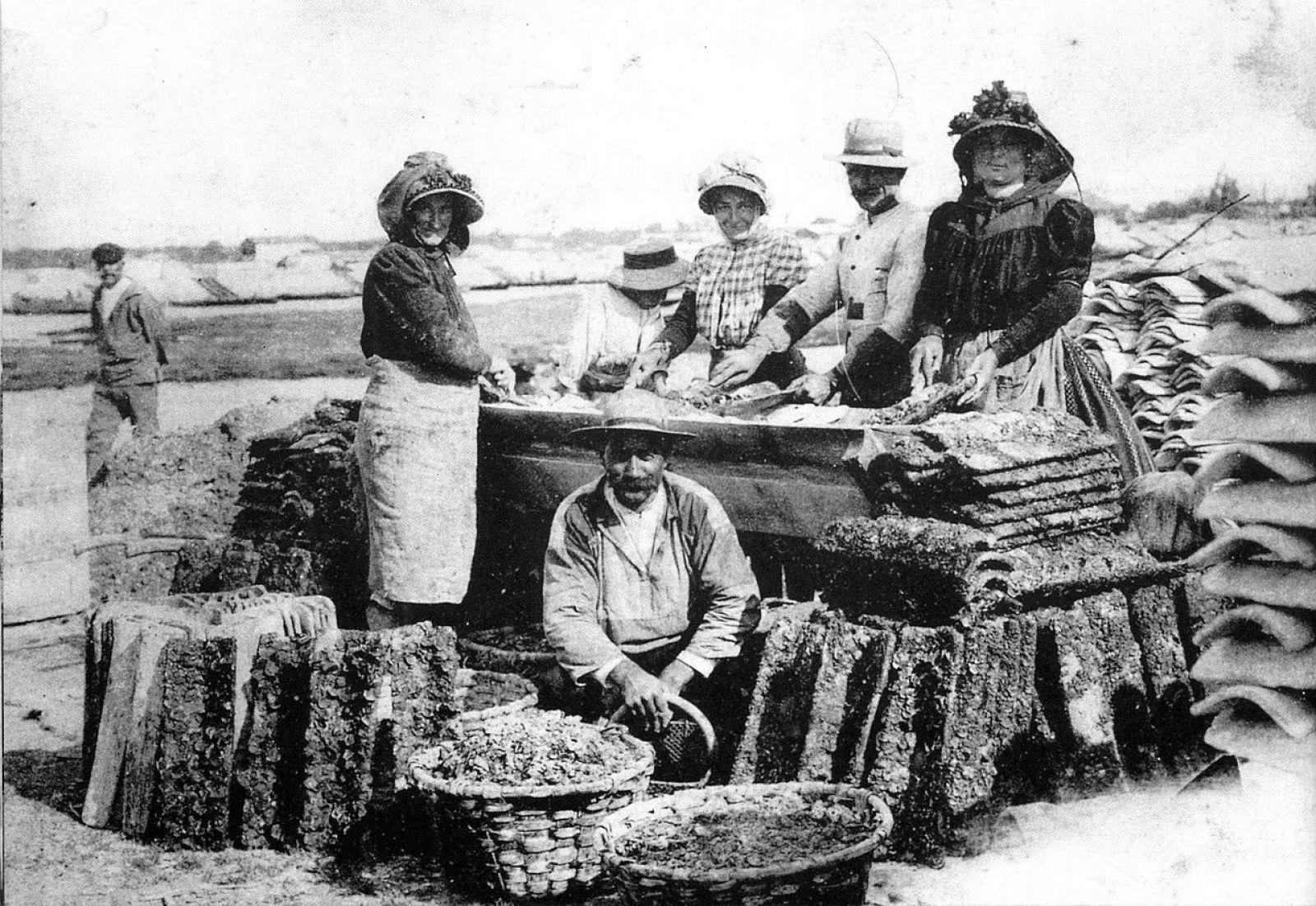 Connaître toute l'histoire et les secrets du Bassin d'Arcachon