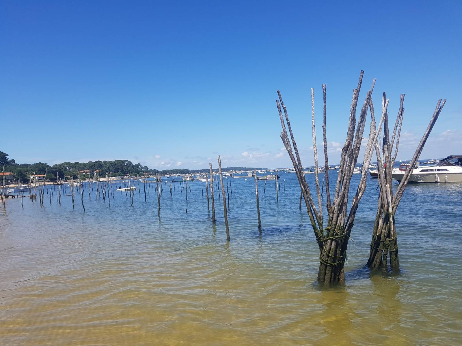 Le Bateau idéal pour passer partout sur le Bassin d'Arcachon Le Bateau idéal pour passer partout sur le Bassin d'Arcachon