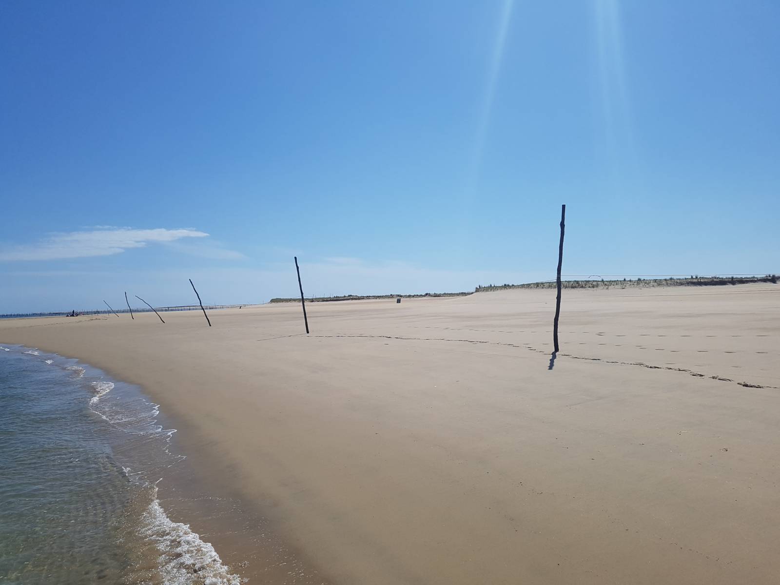 Les pignots du banc d'Arguin en pinasse cruiser Les pignots du banc d'Arguin en pinasse cruiser