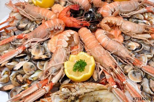 Où déguster un bon plateau n-de fruits de mer à Arcachon