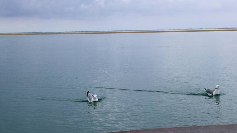 Réunion Brain Storming Arcachon.. Réunion Brain Storming Arcachon..