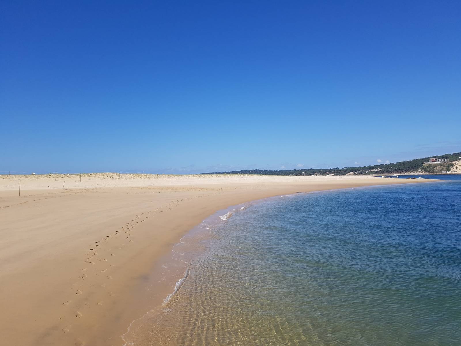 Tour du Bassin privatisé en Pinasse cruiser d'exception Tour du Bassin privatisé en Pinasse cruiser d'exception