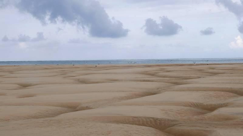 lieu de Réunions professionnelles Arcachon lieu de Réunions professionnelles Arcachon