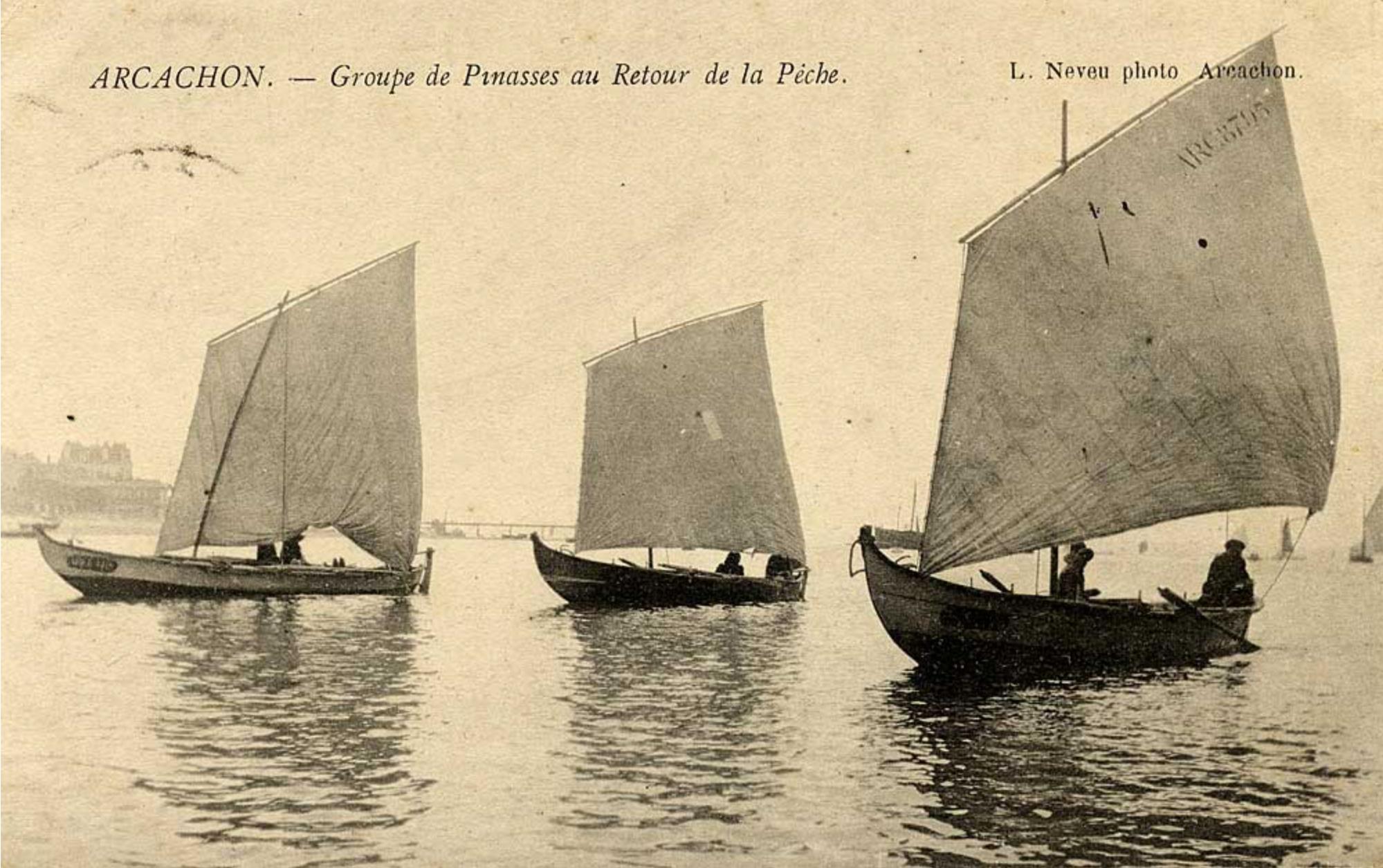 Pinasses du bassin d’Arcachon